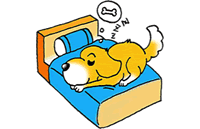 老齢犬の甲状腺機能低下症