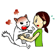 老齢猫の甲状腺機能亢進症