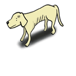 犬の膵外分泌不全のおはなし