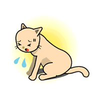 犬と猫の異物誤飲のおはなし