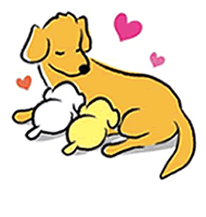仔犬の低血糖症