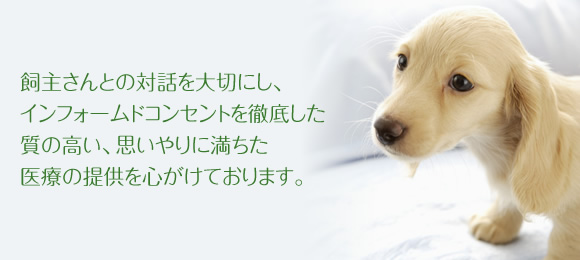 りか動物病院 診療方針