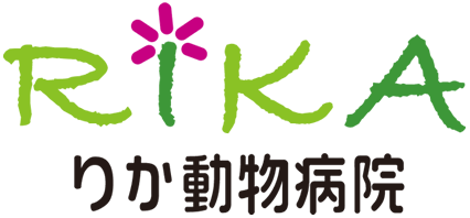 りか動物病院 rika animal hospital